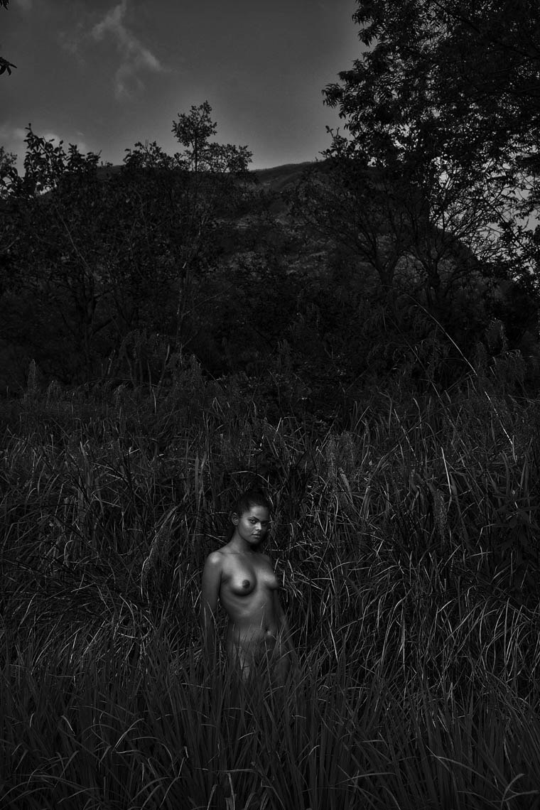 The Landscape — artwork 9046 by Vikram Bawa